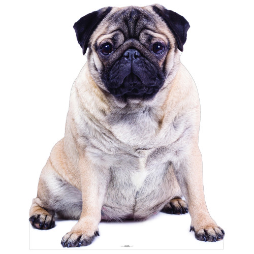 Pug Dog Cardboard Cutout Standee Standup
